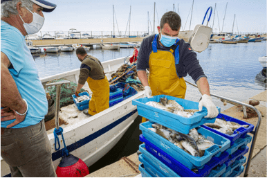 Proyecto para la Mejora Del Estado Ecológico Del Mar Menor