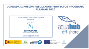 jornada difusión resultados proyectos programa pleamar 2020