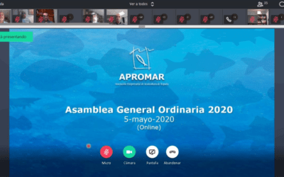 APROMAR ha celebrado su Asamblea General Ordinaria de 2020 con importantes decisiones sobre la situación creada por el Covid-19
