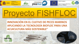 proyecto fishfloc