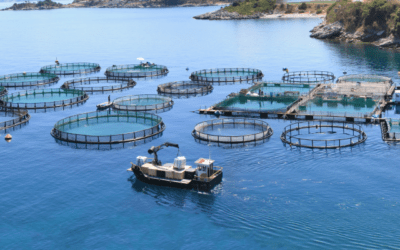 La acuicultura en España en su día de reconocimiento