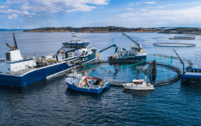 Subida sin precedentes de los costes de producción: la acuicultura española en peligro