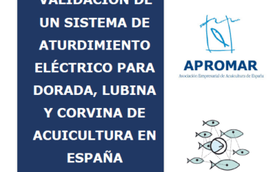 APROMAR sacamos a concurso el proyecto de validación de un sistema de aturdimiento eléctrico para dorada, lubina y corvina de acuicultura en España