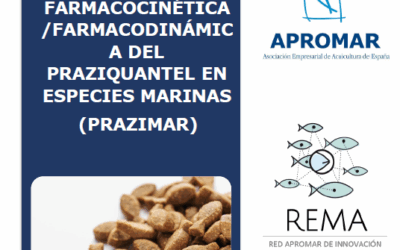 APROMAR sacamos a concurso el Proyecto de evaluación de palatabilidad y farmacocinética/farmacodinámica del praziquantel en especies marinas (PRAZIMAR)